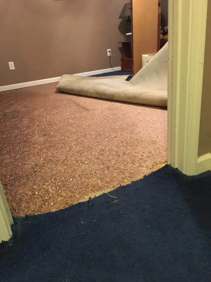 Carpet pad removal revealing water damage during Drying & Dehumidification in East Lake-Orient Park