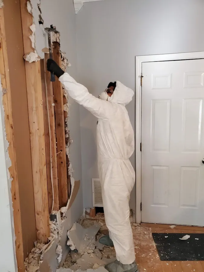 Commercial Water Damage Restoration in East Lake-Orient Park, FL